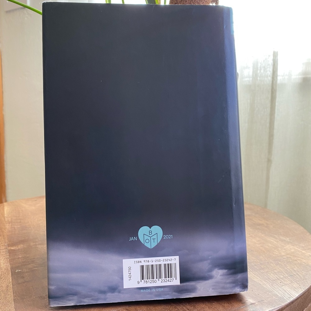 ✨BOTM - The Survivors - Hardcover - Picture 3 of 4